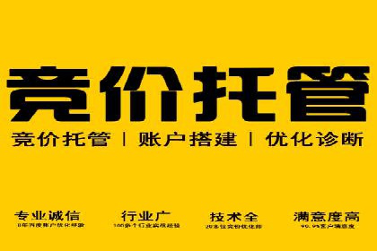 百度优化推广案例：案例分析及优化建议
